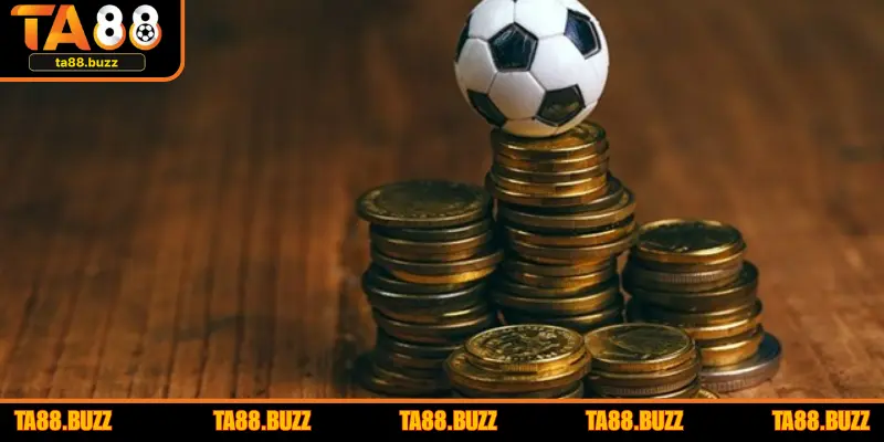 Kết hợp dữ liệu thống kê và cảm quan trực tiếp